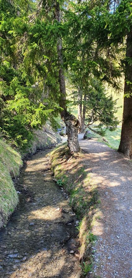 Un Moment De Detente Inoubliable Saillon-Les-Bain Buitenkant foto