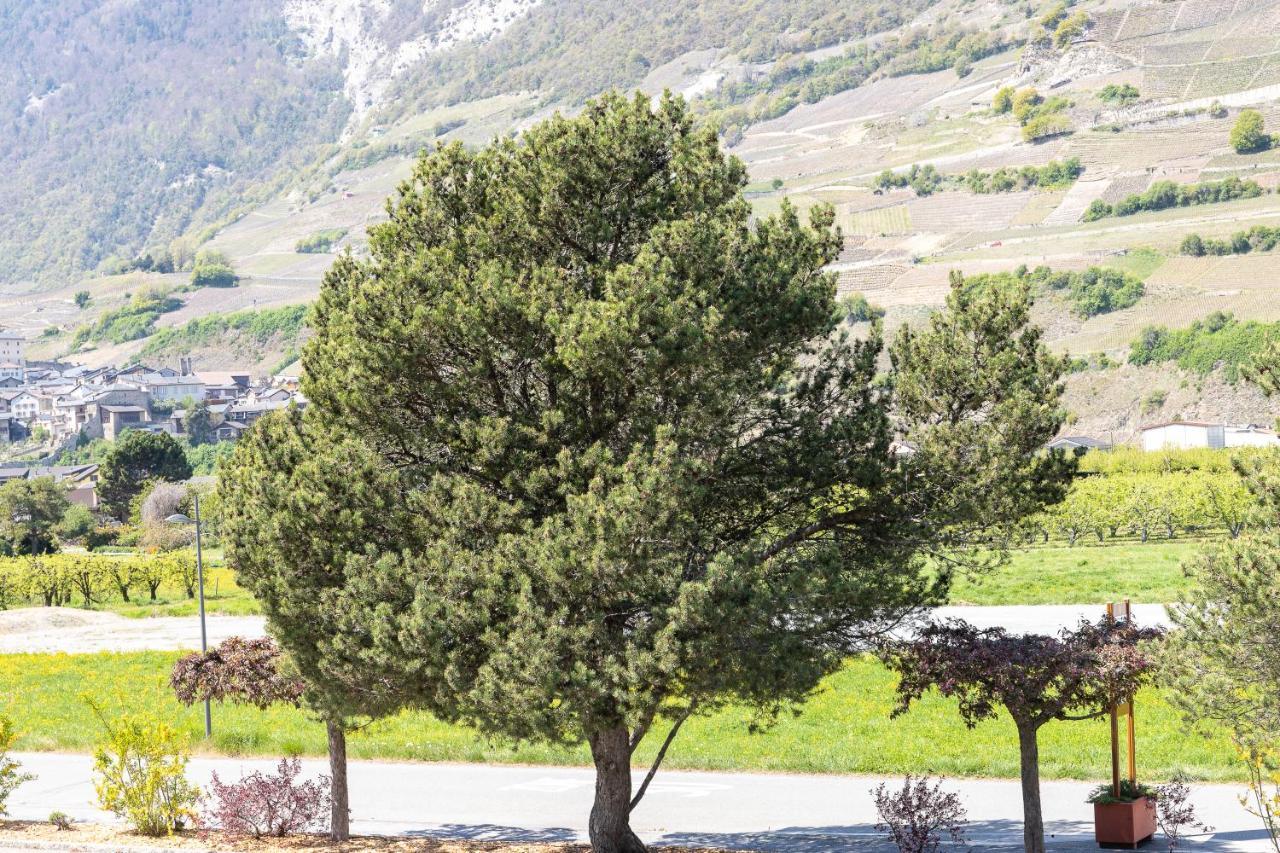 Un Moment De Detente Inoubliable Saillon-Les-Bain Buitenkant foto