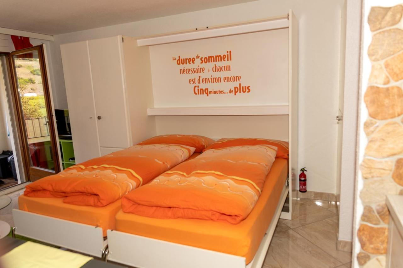 Un Moment De Detente Inoubliable Saillon-Les-Bain Buitenkant foto
