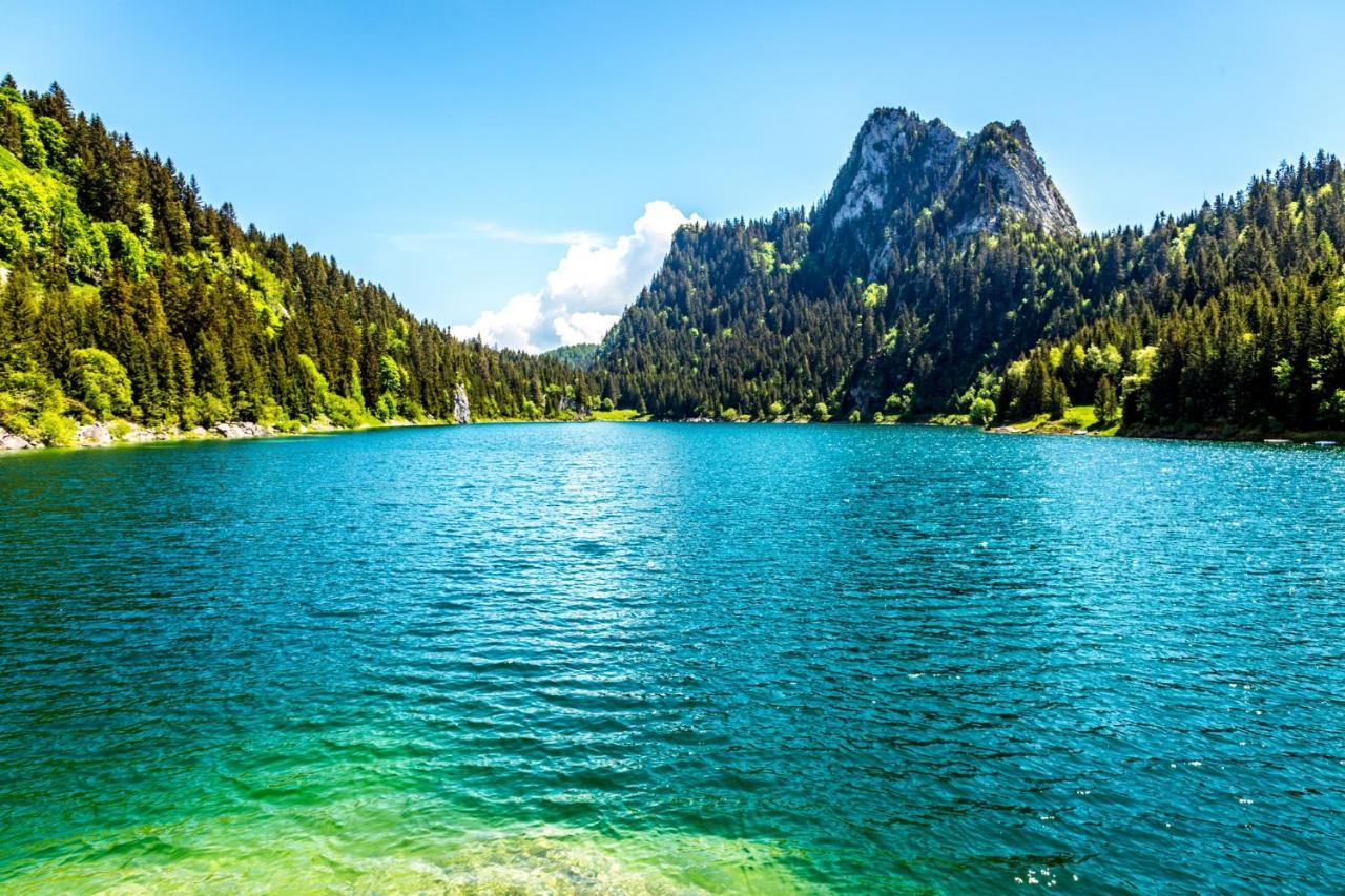 Un Moment De Detente Inoubliable Saillon-Les-Bain Buitenkant foto